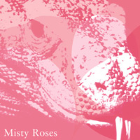 Misty Roses: Komodo Dragons